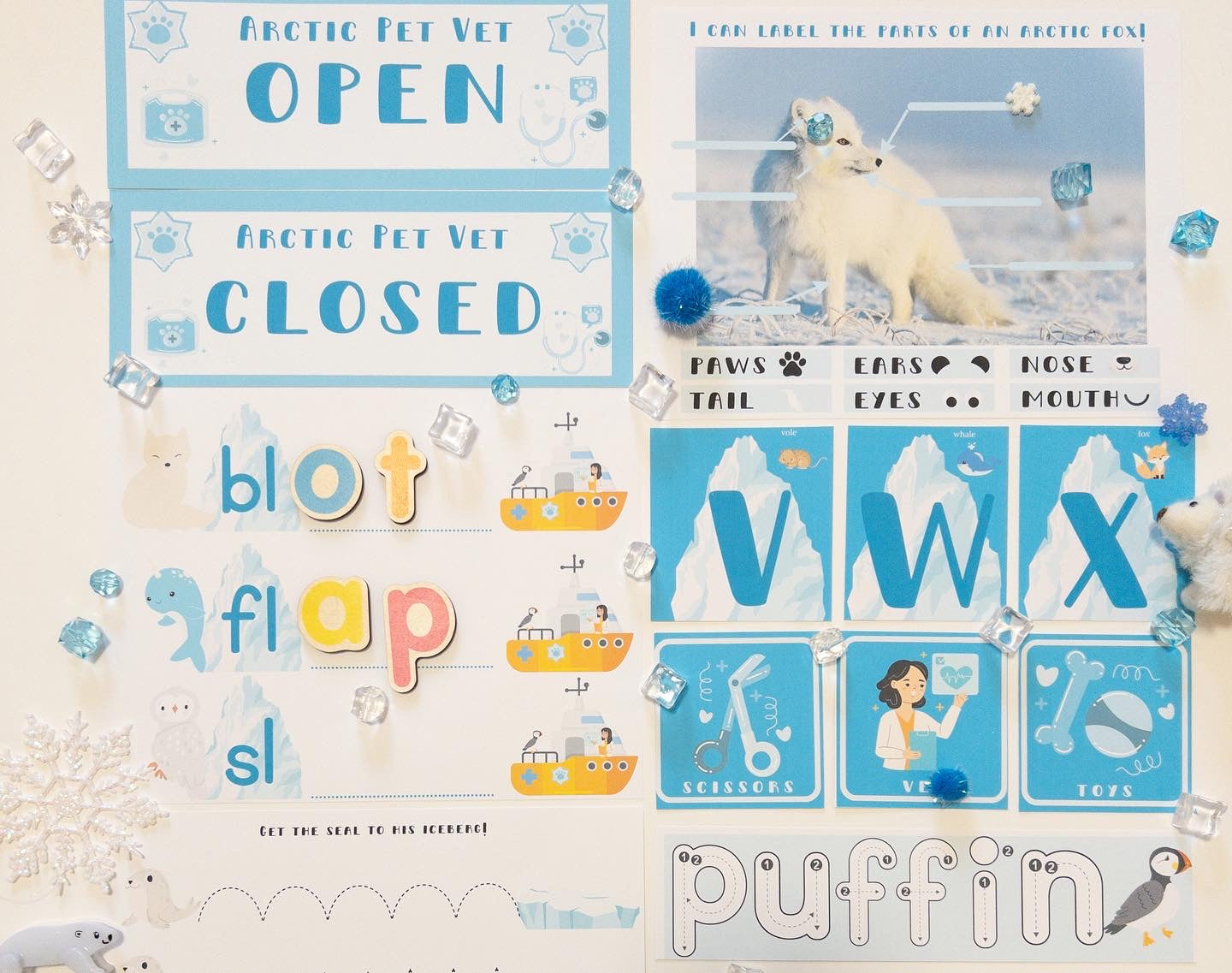 Arctic Pet Vet Digital Print & Play Learning Kit