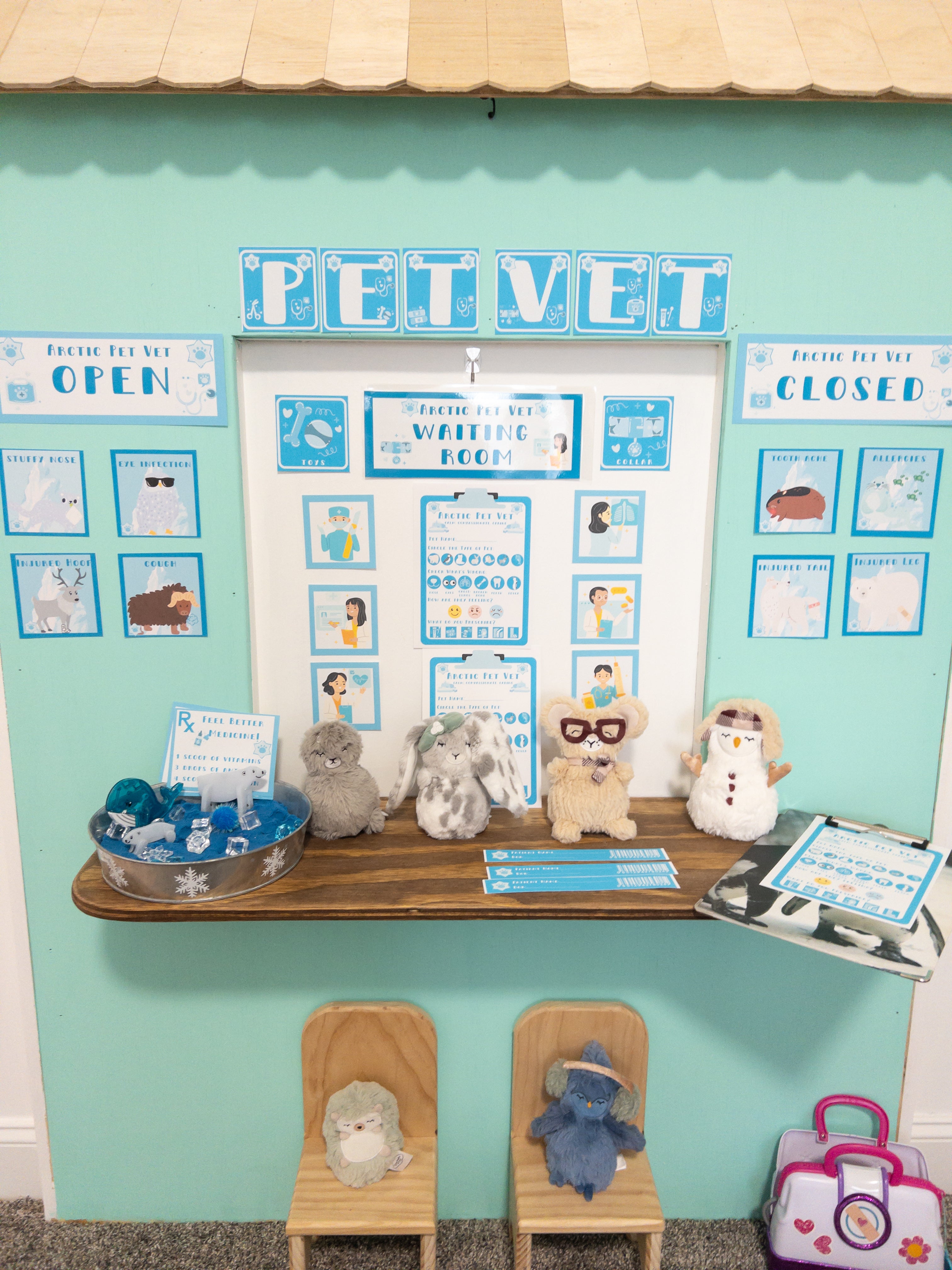 Arctic Pet Vet Digital Print & Play Learning Kit