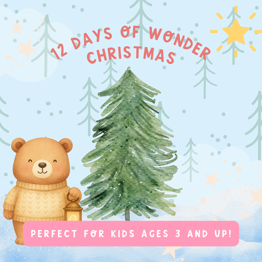 12 Days of Wonder Christmas