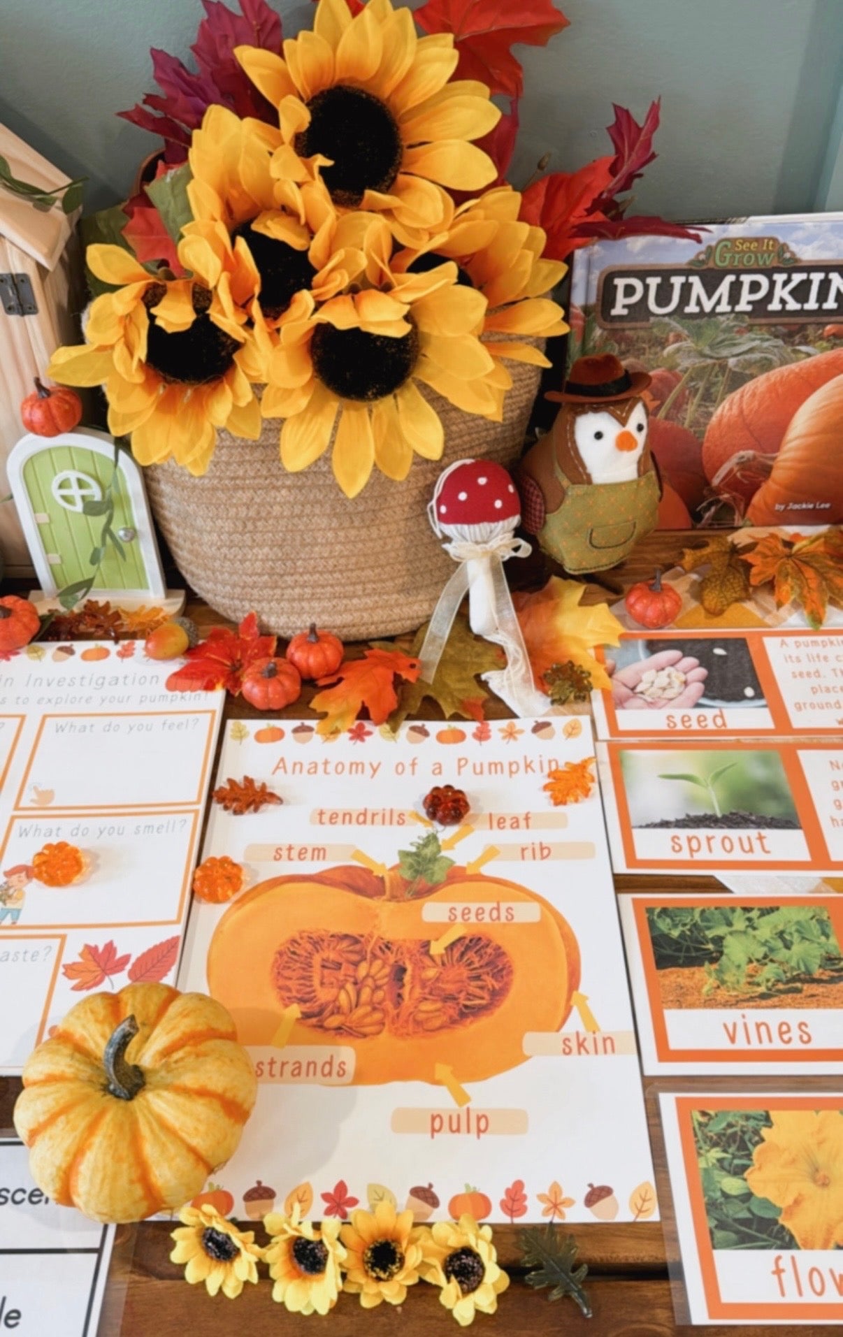 Pumpkin Farm Project Based Learning Digital Print Kit